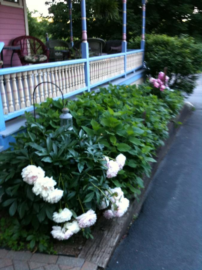 Rose & Thistle Bed & Breakfast 库珀斯敦 外观 照片